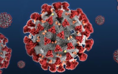 Qué es el coronavirus y como tratarlo